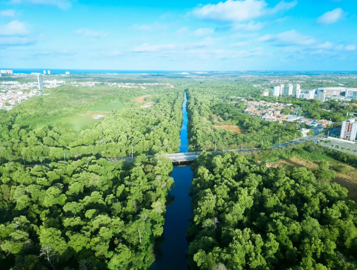 Débats publics autour de l’environnement et de la transition écologique