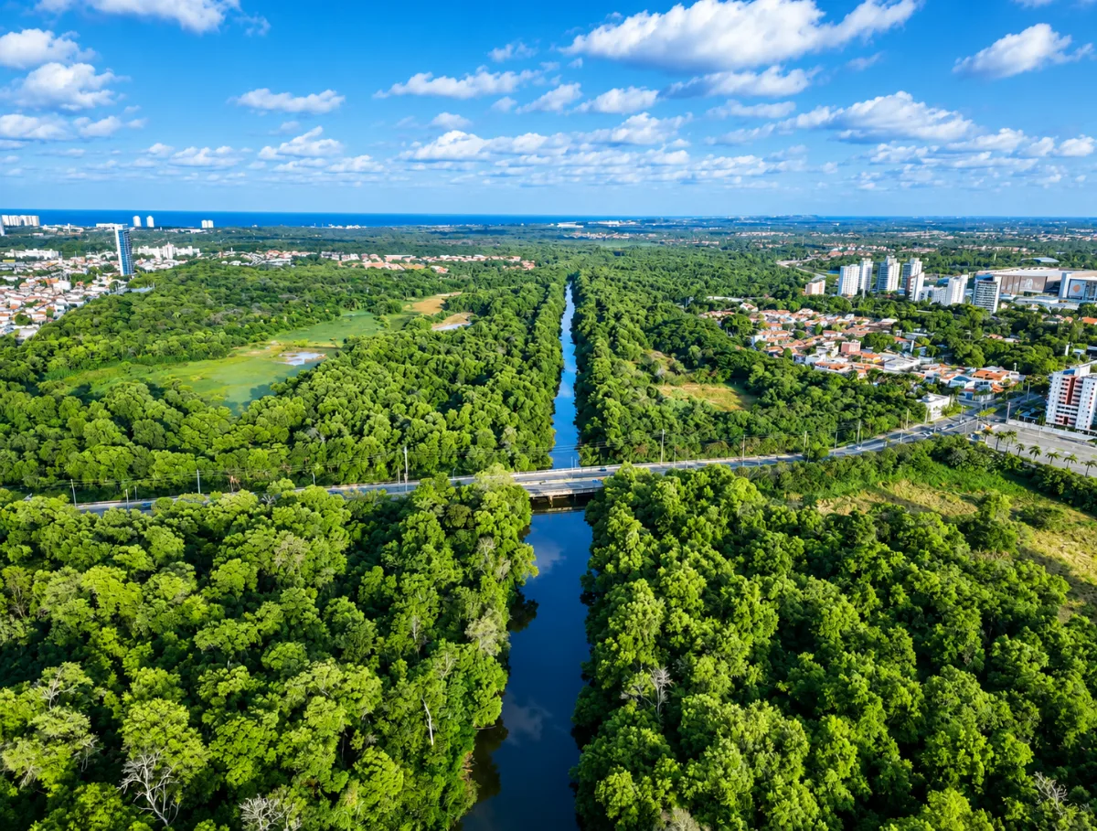 Vue aérienne illustrant un cours d’eau bordé de végétation à proximité de quartiers urbains